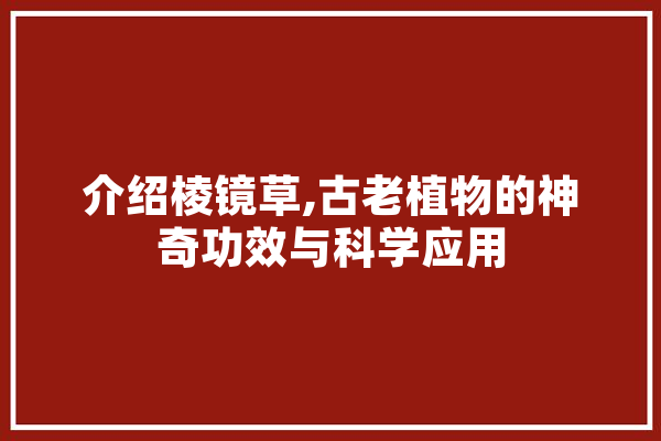 介绍棱镜草,古老植物的神奇功效与科学应用