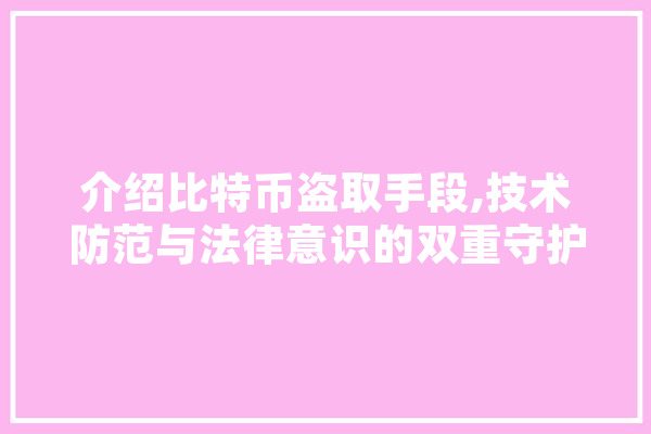 介绍比特币盗取手段,技术防范与法律意识的双重守护