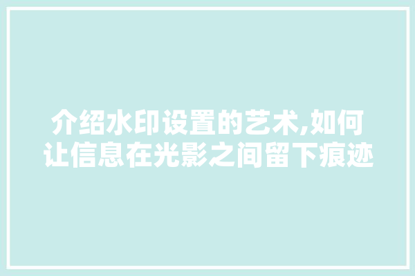 介绍水印设置的艺术,如何让信息在光影之间留下痕迹