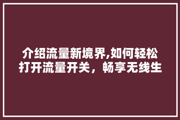 介绍流量新境界,如何轻松打开流量开关，畅享无线生活