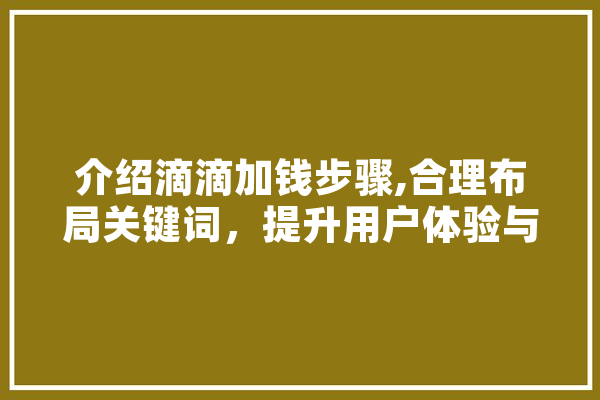 介绍滴滴加钱步骤,合理布局关键词，提升用户体验与盈利双丰收