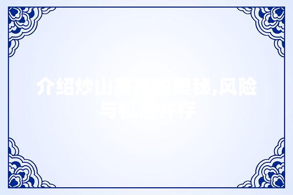 介绍炒山寨币的奥秘,风险与机遇并存