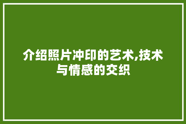 介绍照片冲印的艺术,技术与情感的交织