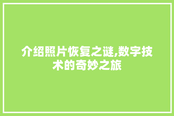 介绍照片恢复之谜,数字技术的奇妙之旅