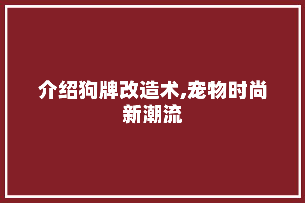 介绍狗牌改造术,宠物时尚新潮流