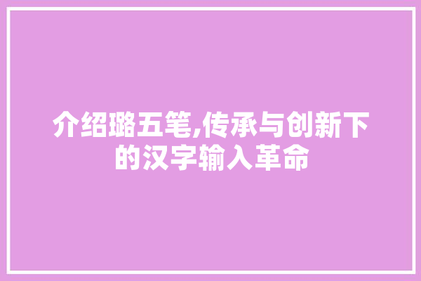 介绍璐五笔,传承与创新下的汉字输入革命