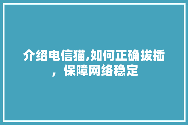 介绍电信猫,如何正确拔插，保障网络稳定