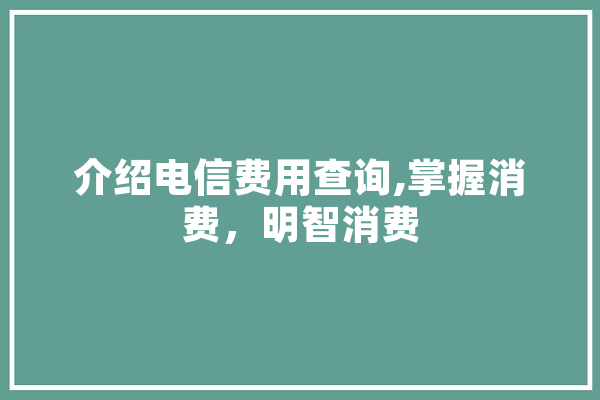 介绍电信费用查询,掌握消费，明智消费