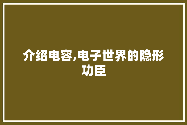 介绍电容,电子世界的隐形功臣