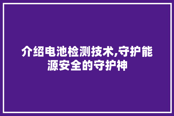 介绍电池检测技术,守护能源安全的守护神