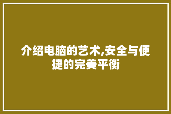 介绍电脑的艺术,安全与便捷的完美平衡