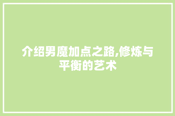 介绍男魔加点之路,修炼与平衡的艺术