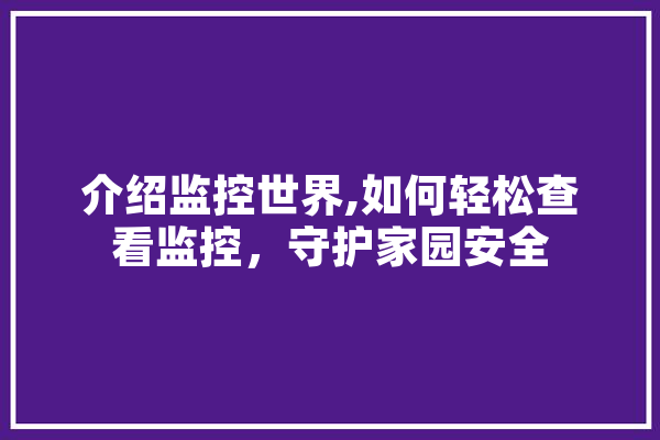 介绍监控世界,如何轻松查看监控，守护家园安全 文字写作