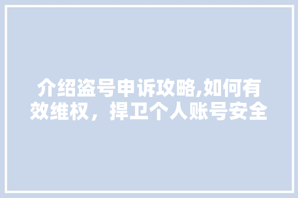 介绍盗号申诉攻略,如何有效维权，捍卫个人账号安全