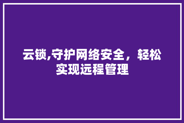 云锁,守护网络安全，轻松实现远程管理