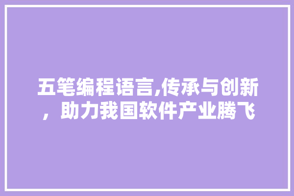 五笔编程语言,传承与创新，助力我国软件产业腾飞