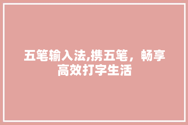 五笔输入法,携五笔，畅享高效打字生活