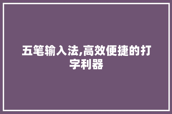 五笔输入法,高效便捷的打字利器