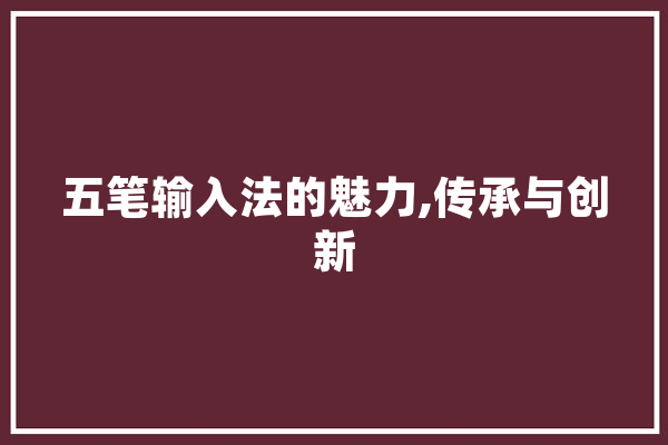 五笔输入法的魅力,传承与创新