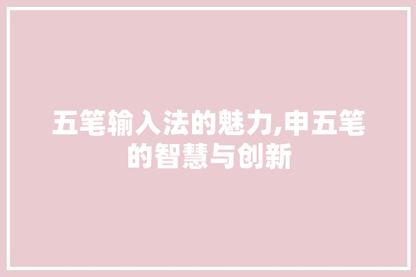 五笔输入法的魅力,申五笔的智慧与创新