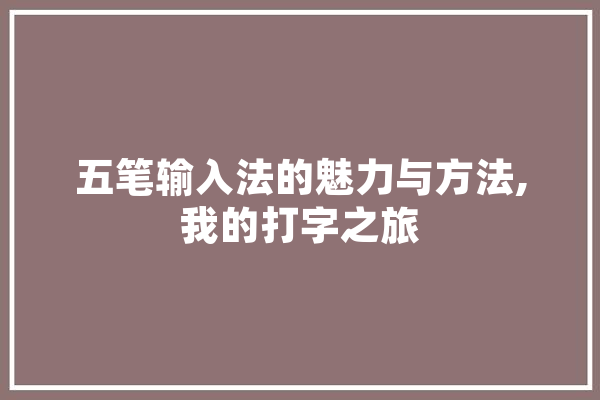 五笔输入法的魅力与方法,我的打字之旅