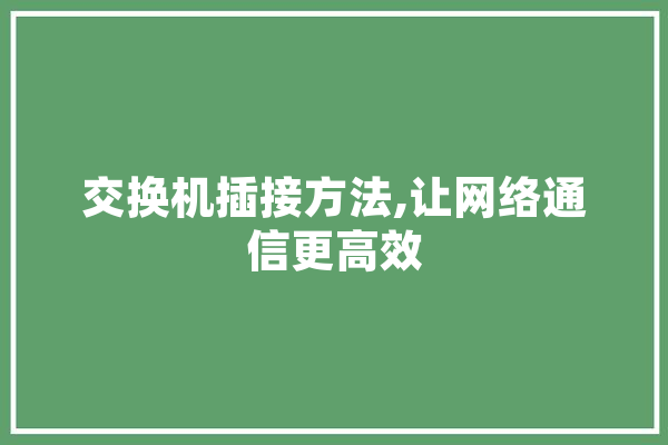 交换机插接方法,让网络通信更高效