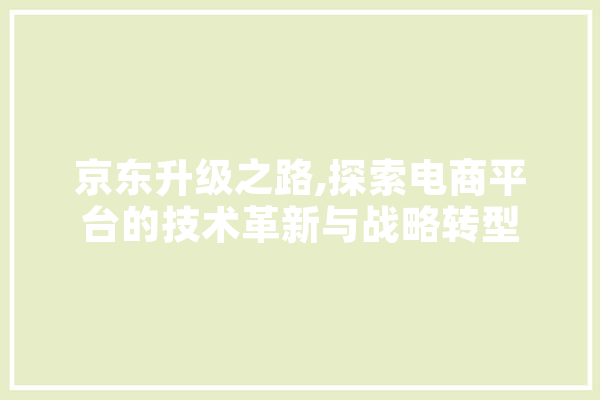 京东升级之路,探索电商平台的技术革新与战略转型 AI快讯