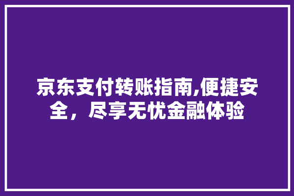 京东支付转账指南,便捷安全，尽享无忧金融体验