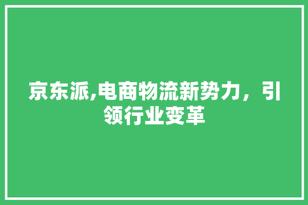 京东派,电商物流新势力，引领行业变革