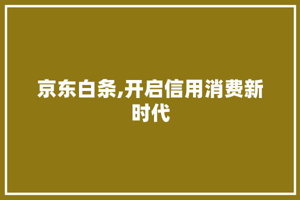 京东白条,开启信用消费新时代 绘影字幕