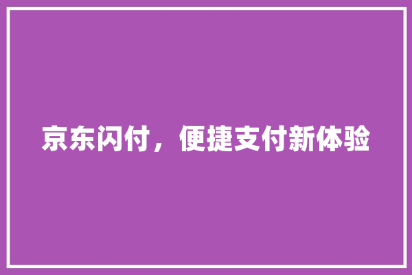 京东闪付，便捷支付新体验