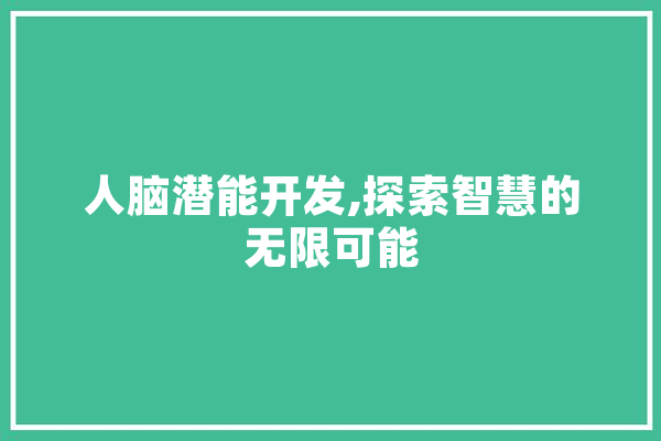 人脑潜能开发,探索智慧的无限可能