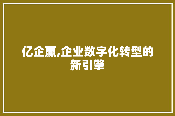 亿企赢,企业数字化转型的新引擎