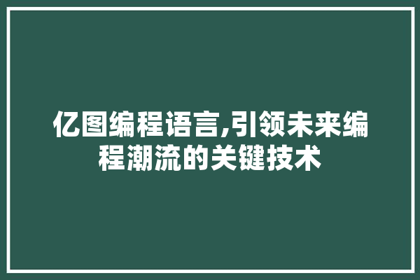 亿图编程语言,引领未来编程潮流的关键技术