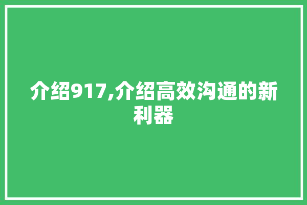 介绍917,介绍高效沟通的新利器