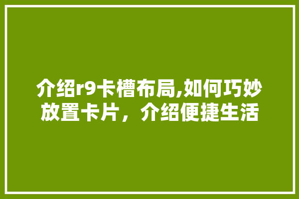 介绍r9卡槽布局,如何巧妙放置卡片，介绍便捷生活