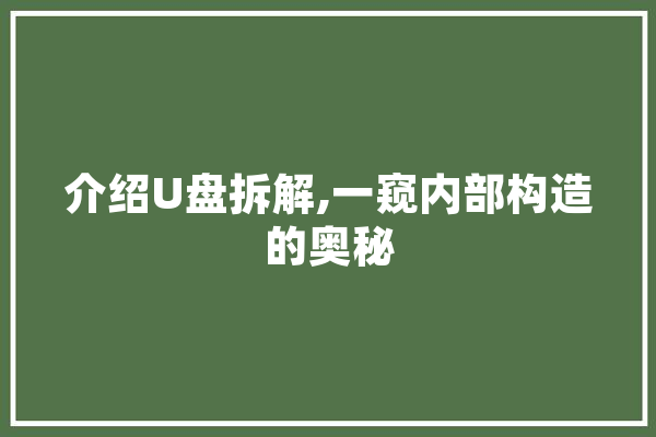 介绍U盘拆解,一窥内部构造的奥秘