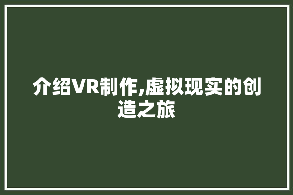 介绍VR制作,虚拟现实的创造之旅