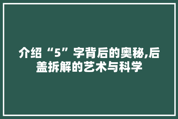 介绍“5”字背后的奥秘,后盖拆解的艺术与科学