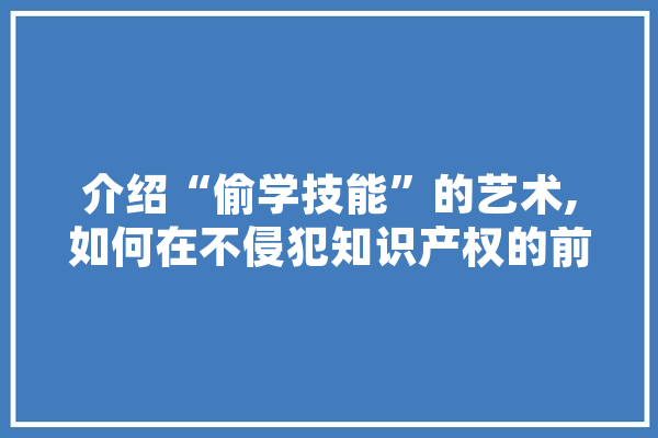 介绍“偷学技能”的艺术,如何在不侵犯知识产权的前提下提升自我