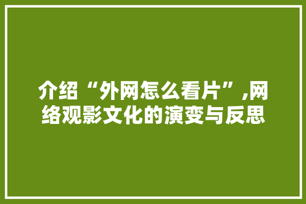 介绍“外网怎么看片”,网络观影文化的演变与反思