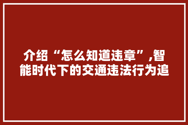 介绍“怎么知道违章”,智能时代下的交通违法行为追踪