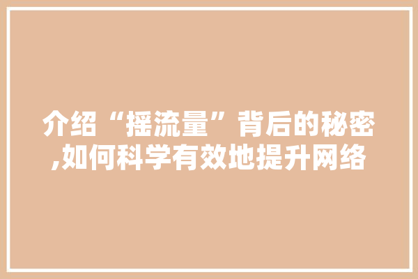 介绍“摇流量”背后的秘密,如何科学有效地提升网络曝光度
