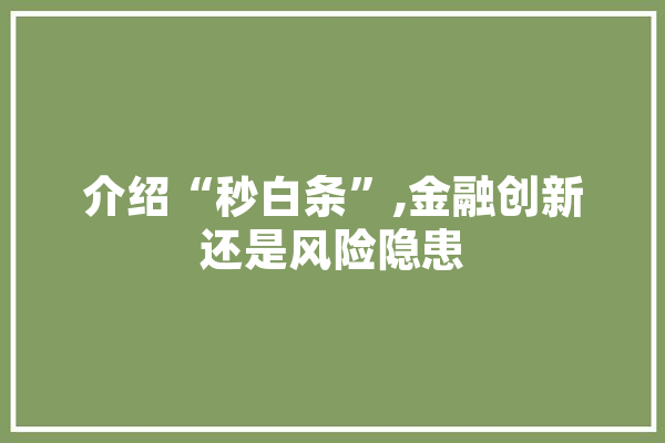 介绍“秒白条”,金融创新还是风险隐患
