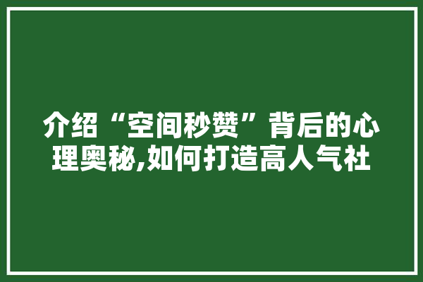 介绍“空间秒赞”背后的心理奥秘,如何打造高人气社交圈 科技快讯
