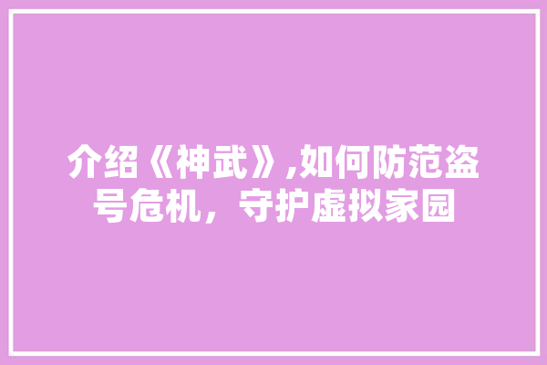 介绍《神武》,如何防范盗号危机，守护虚拟家园