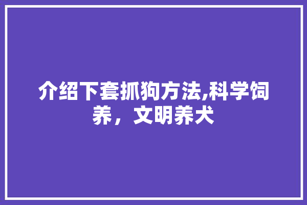 介绍下套抓狗方法,科学饲养，文明养犬 文字写作