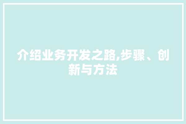 介绍业务开发之路,步骤、创新与方法