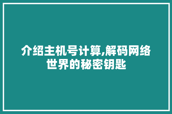介绍主机号计算,解码网络世界的秘密钥匙
