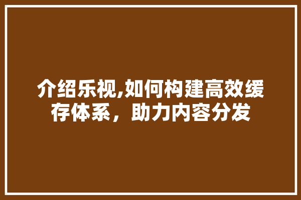 介绍乐视,如何构建高效缓存体系，助力内容分发